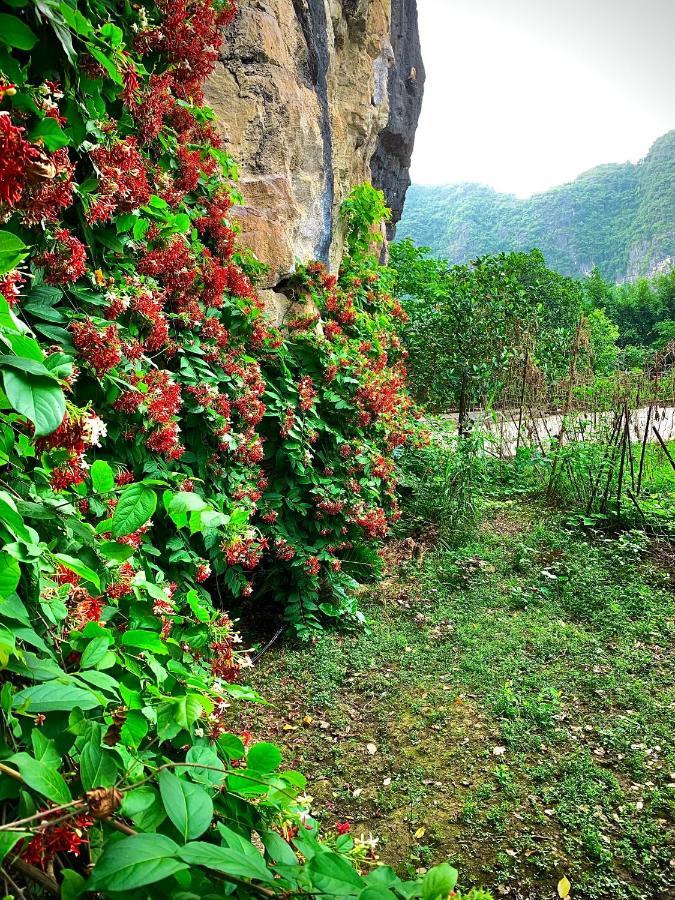 Trang An Valley Bungalow Ниньбинь Экстерьер фото